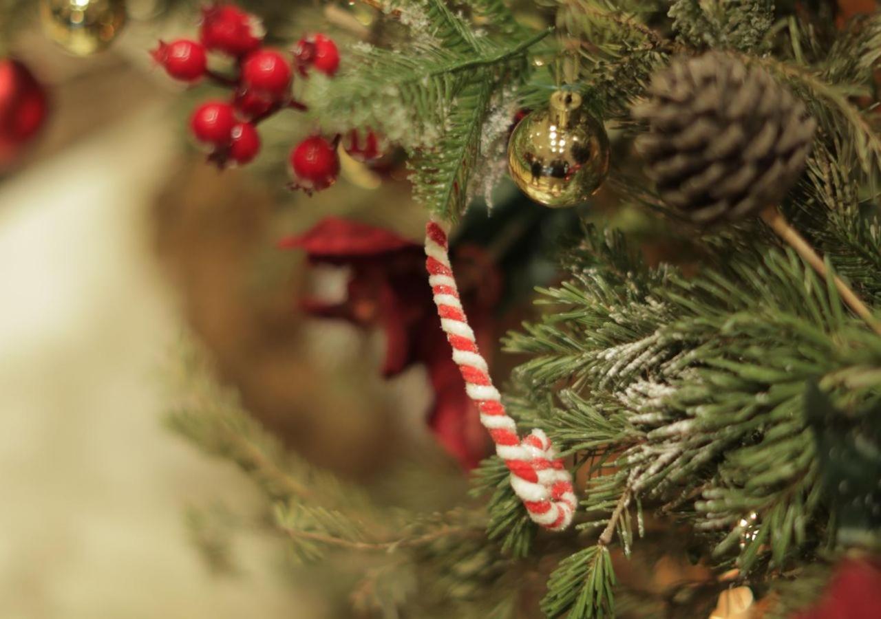 Gefinor Rotana - Beirut Hotel Bagian luar foto A candy cane on a Christmas tree